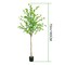 6ft Artificial Enkianthus Tree, Realistic Green Foliage Potted Plant for Indoor Decor